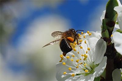 Sibylla Haas - Team Coaching, Partnerberatung - mehr Selbstvertrauen - Seminare